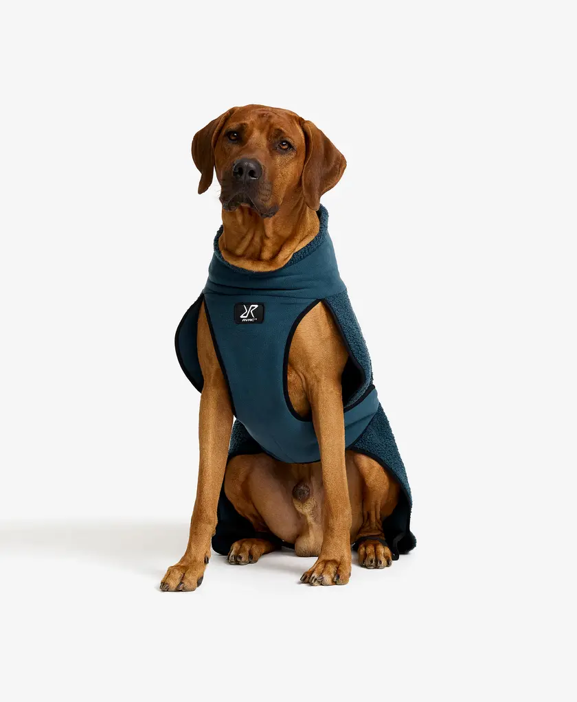 Bigfoot Dog Jacket Dog