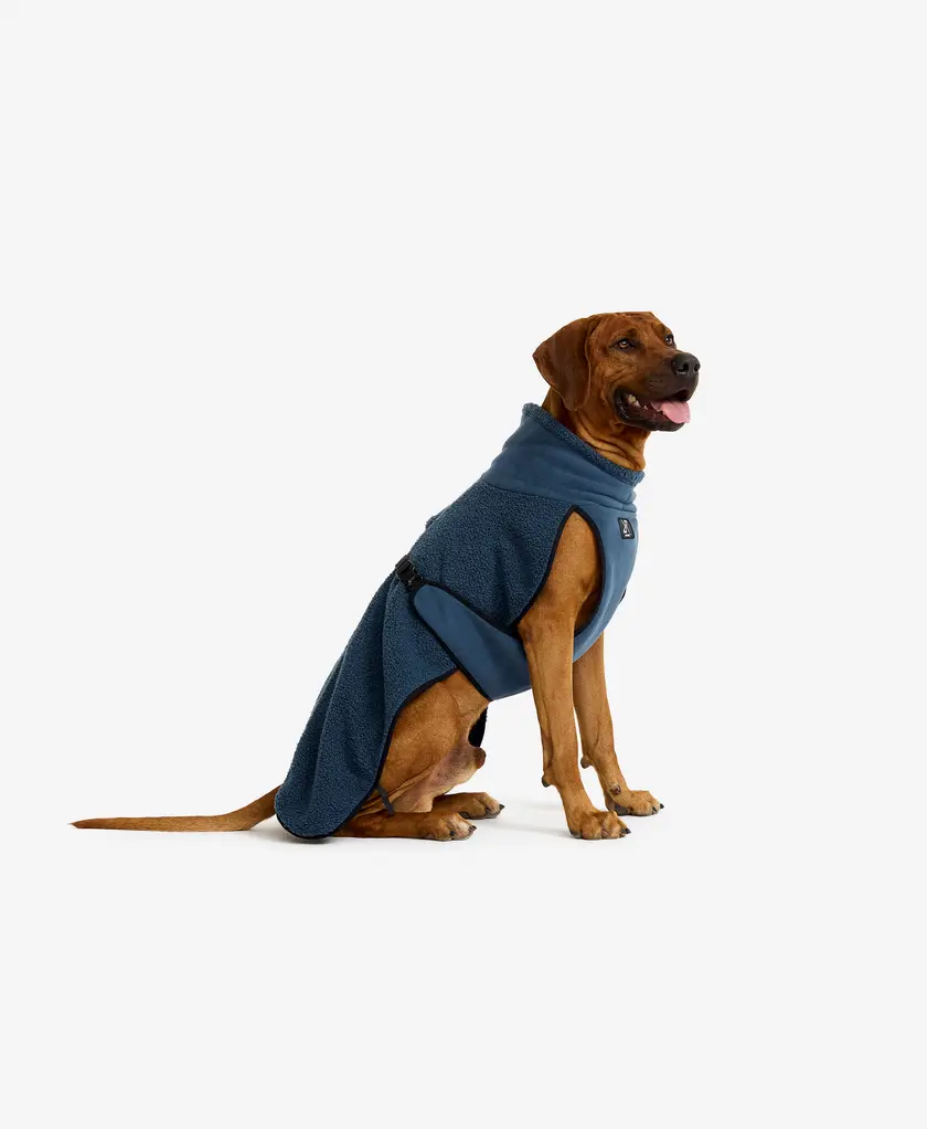 Bigfoot Dog Jacket Dog